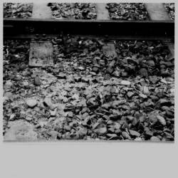 Misery (FRA-1) : Asthenia